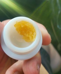 Deep Fried Runtz Live Sugar 1g