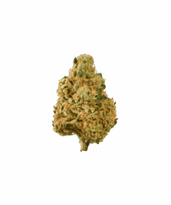 Bio Jesus Flower