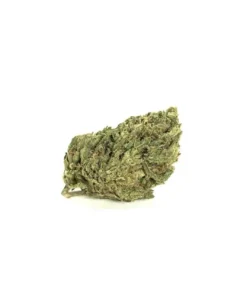 Biscotti 14g