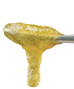 Grape Guava Live Sugar