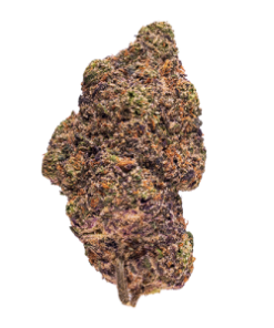 Lilac Cookies BX2 #573 Popcorn Flower