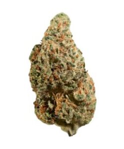 Mimosa Kush Mints Popcorn Flower