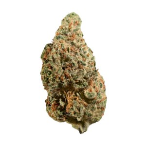 romulan-flower.jpeg