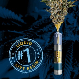 sour-tangie-briq-disposable-pen.jpeg